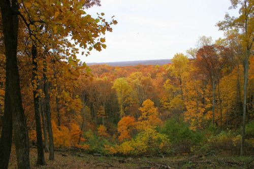 A vibrant autumn landscape with trees in shades of orange, yellow, and red, overlooking a valley.