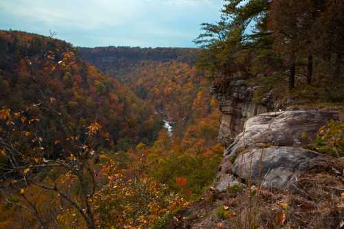 A scenic view of a valley with colorful autumn foliage and a river winding through the landscape.