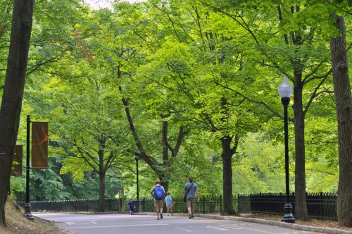 Two people walk along a tree-lined path in a lush green park, with lampposts and banners visible.