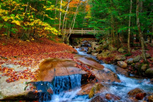 A serene stream flows over rocks, surrounded by colorful autumn foliage and a wooden bridge in the background.