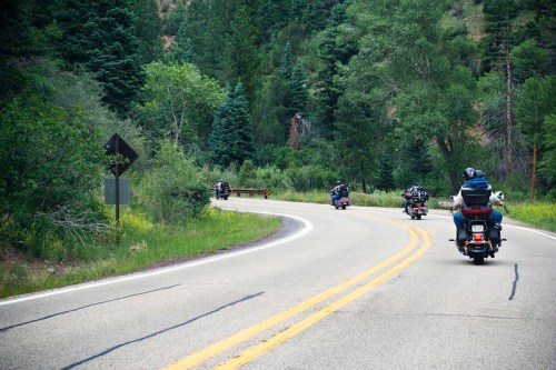Motorcyclists riding along a winding road surrounded by lush green trees and nature.