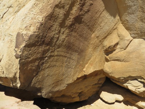 Petroglyphs etched into a large, weathered rock surface, showcasing ancient artwork in earthy tones.