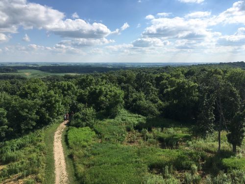 A scenic view of lush green fields and trees under a blue sky with fluffy clouds, featuring a winding dirt path.