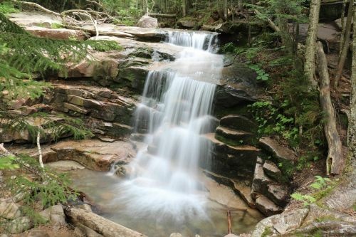 A serene waterfall cascades over rocky ledges, surrounded by lush greenery and trees in a tranquil forest setting.