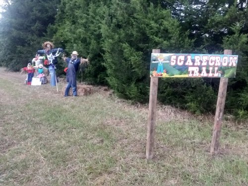 A sign for "Scarecrow Trail" next to a group of colorful scarecrows in a grassy area surrounded by trees.