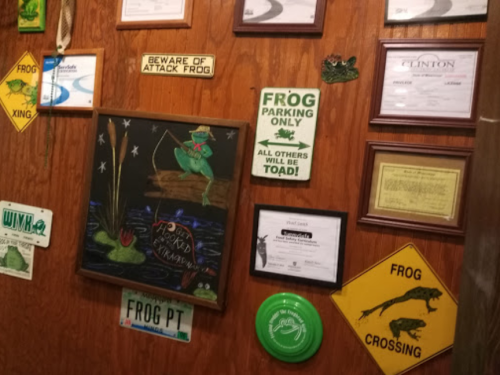 A wooden wall adorned with frog-themed signs, certificates, and a framed drawing of a frog on a lily pad.