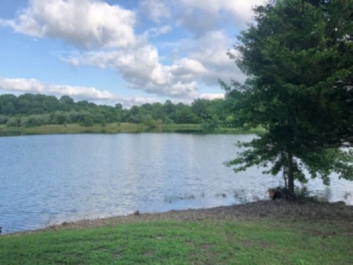 A serene lake surrounded by greenery and trees under a partly cloudy sky.