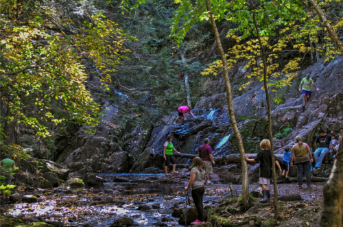 People exploring a rocky stream surrounded by trees, with some climbing and others relaxing by the water.