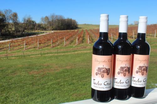 Three bottles of red wine with a vineyard in the background, showcasing rows of grapevines under a clear sky.