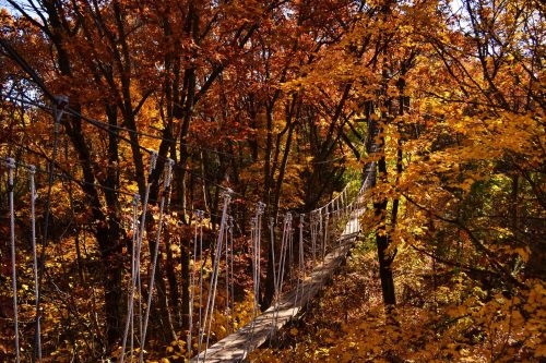 A wooden suspension bridge surrounded by vibrant autumn foliage in shades of orange and yellow.