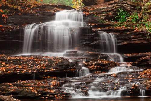 A serene waterfall cascading over rocky layers, surrounded by autumn leaves and lush greenery.