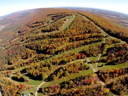 Aerial view of a hilly landscape with vibrant autumn foliage and winding paths through the trees.