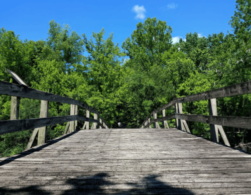 A wooden bridge leads into a lush green forest under a bright blue sky.