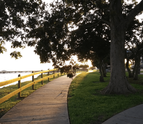 A winding path lined with trees, leading towards a sunset by the water, with a wooden pier in the distance.