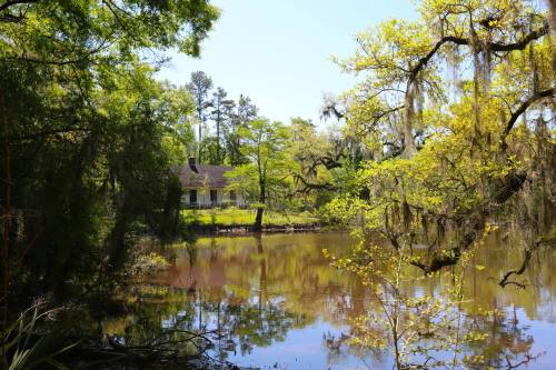 A serene pond surrounded by lush greenery and trees, with a house visible in the background under a clear blue sky.