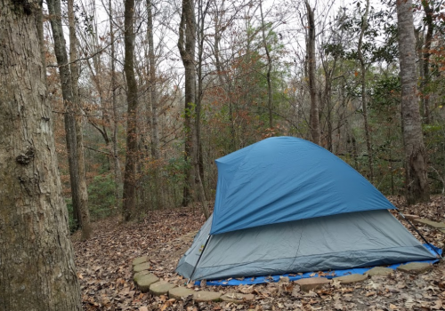 A blue tent set up in a wooded area with bare trees and fallen leaves on the ground.