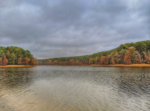 A serene lake surrounded by trees with autumn foliage under a cloudy sky.