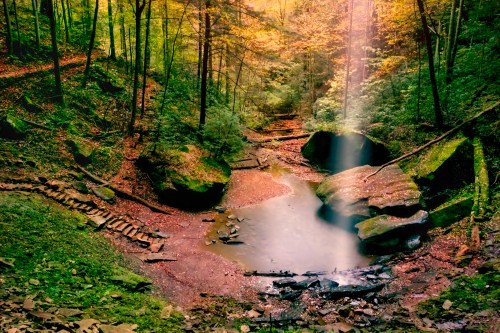 A serene forest scene with a small stream, rocks, and sunlight filtering through the trees, creating a peaceful atmosphere.
