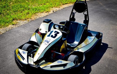 A sleek black and gold go-kart with the number 13 on the front, parked on a paved track surrounded by grass.