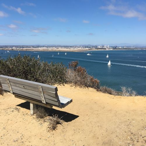 A wooden bench overlooks a bay with sailboats and a city skyline in the distance under a clear blue sky.