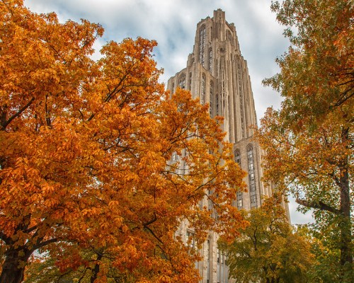 A tall, ornate building rises above vibrant orange autumn trees under a cloudy sky.