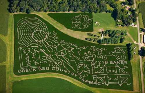 Aerial view of a corn maze featuring playful designs and text, including a pharmacy and game theme.