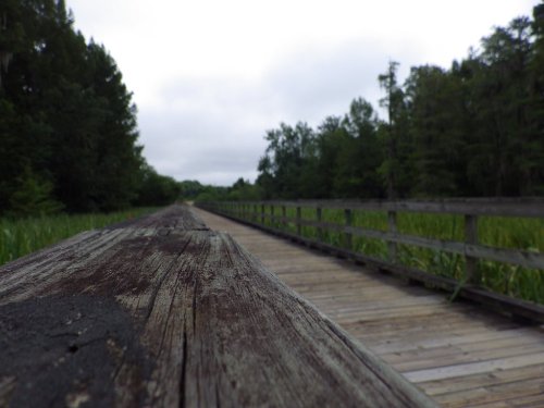 A wooden boardwalk stretches through a lush, green landscape under a cloudy sky.
