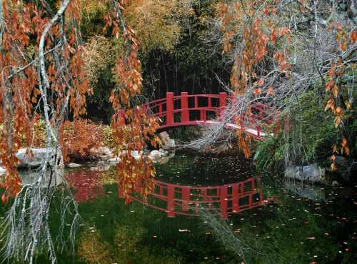 A serene pond with a red bridge, surrounded by autumn foliage and reflections in the water.