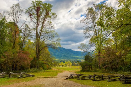 A scenic view of a path leading through trees, with mountains and a cloudy sky in the background.