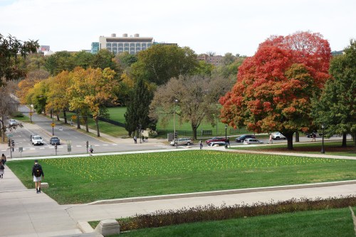 A vibrant park scene with colorful autumn trees and a grassy area marked by yellow flags, with people walking nearby.