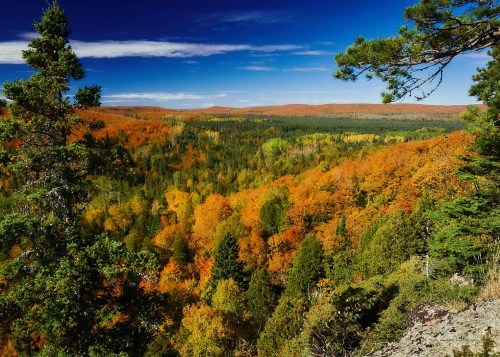 A vibrant autumn landscape with colorful trees and rolling hills under a clear blue sky.