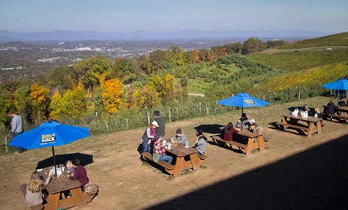People sit at picnic tables under blue umbrellas, enjoying a scenic view of rolling hills and autumn foliage.