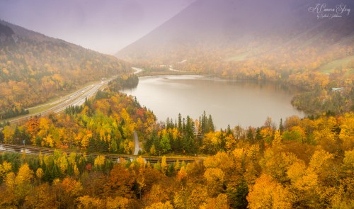 A misty landscape featuring a lake surrounded by vibrant autumn foliage and winding roads.