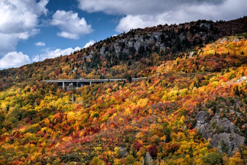 A scenic view of a colorful autumn landscape with vibrant foliage and a bridge spanning the mountainside.