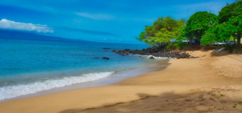 A serene beach scene with golden sand, gentle waves, and lush green trees under a bright blue sky.