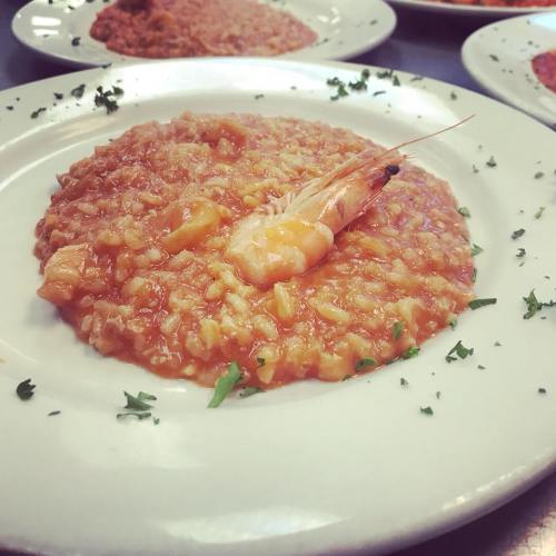 A plate of risotto topped with a shrimp, garnished with parsley, served on a white dish.
