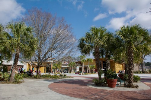 A sunny outdoor plaza with palm trees, a bare tree, and colorful buildings, bustling with people enjoying the space.