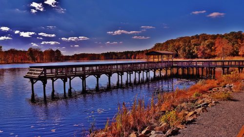A wooden dock extends over a calm lake, surrounded by autumn foliage and a clear blue sky with scattered clouds.