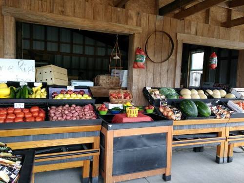 A vibrant market stand displaying a variety of fresh fruits and vegetables, including melons, potatoes, and squash.