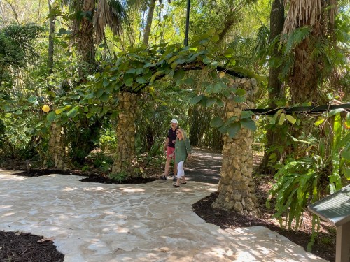 A couple walks under a stone arch covered in greenery, surrounded by lush tropical plants on a sunny day.