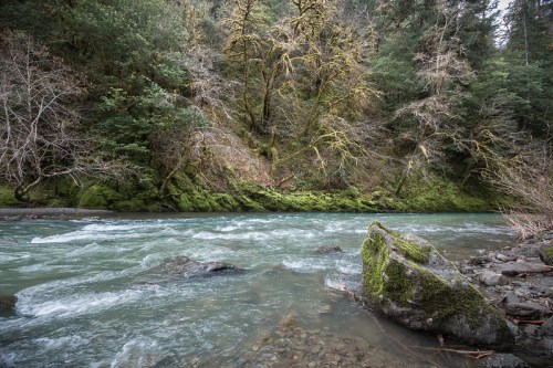 A serene river flows through a lush, moss-covered landscape with trees and rocky banks.