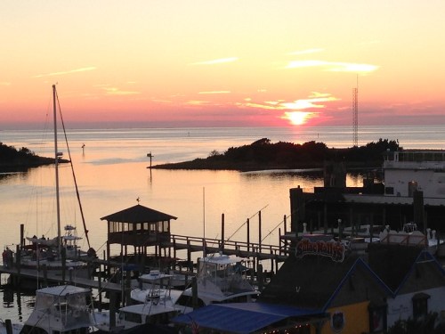 Sunset over a calm harbor with boats docked and silhouettes of trees on the horizon. Soft colors reflect on the water.