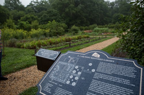 A wet pathway in a garden with a sign detailing the E.I. du Pont Restored Garden and lush greenery in the background.