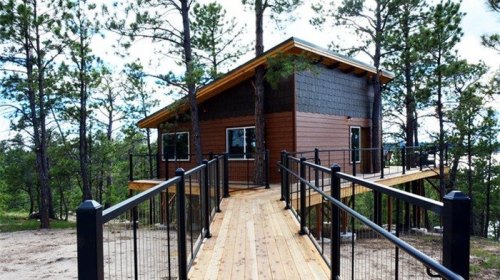 A modern cabin on stilts surrounded by trees, with a wooden walkway leading to its entrance.