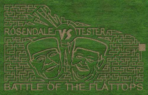 A corn maze design featuring two faces and the text "Rosendale vs Tester: Battle of the Flattops" on green grass.