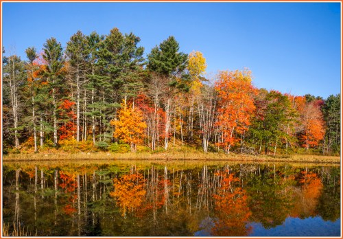 Autumn trees with vibrant orange and yellow leaves reflect in a calm lake under a clear blue sky.