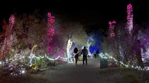 A couple walks hand in hand along a path lit with colorful lights among cacti and desert vegetation at night.