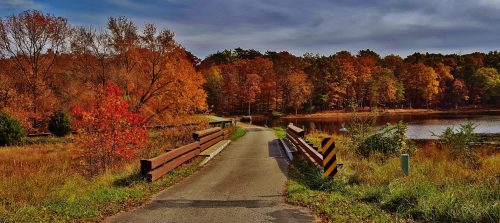 A scenic pathway lined with colorful autumn trees leads to a calm lake under a cloudy sky.
