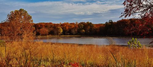 A serene lake surrounded by autumn foliage and tall grasses under a blue sky with scattered clouds.