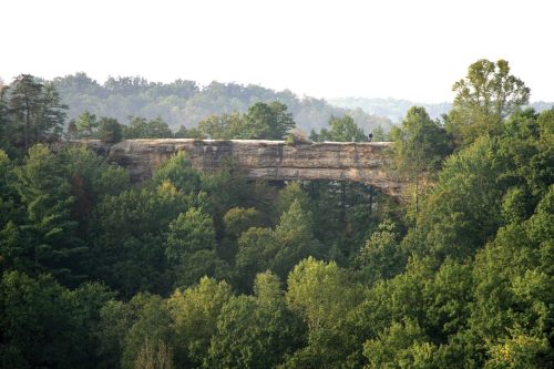 A natural stone arch bridge surrounded by lush green trees and hills in a serene landscape.